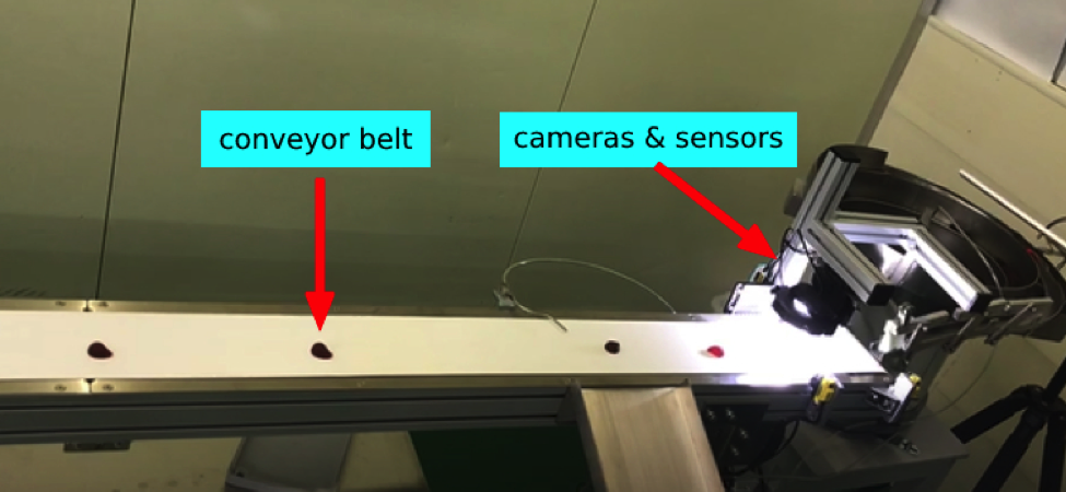 Intelly AI Case STudy X Candies